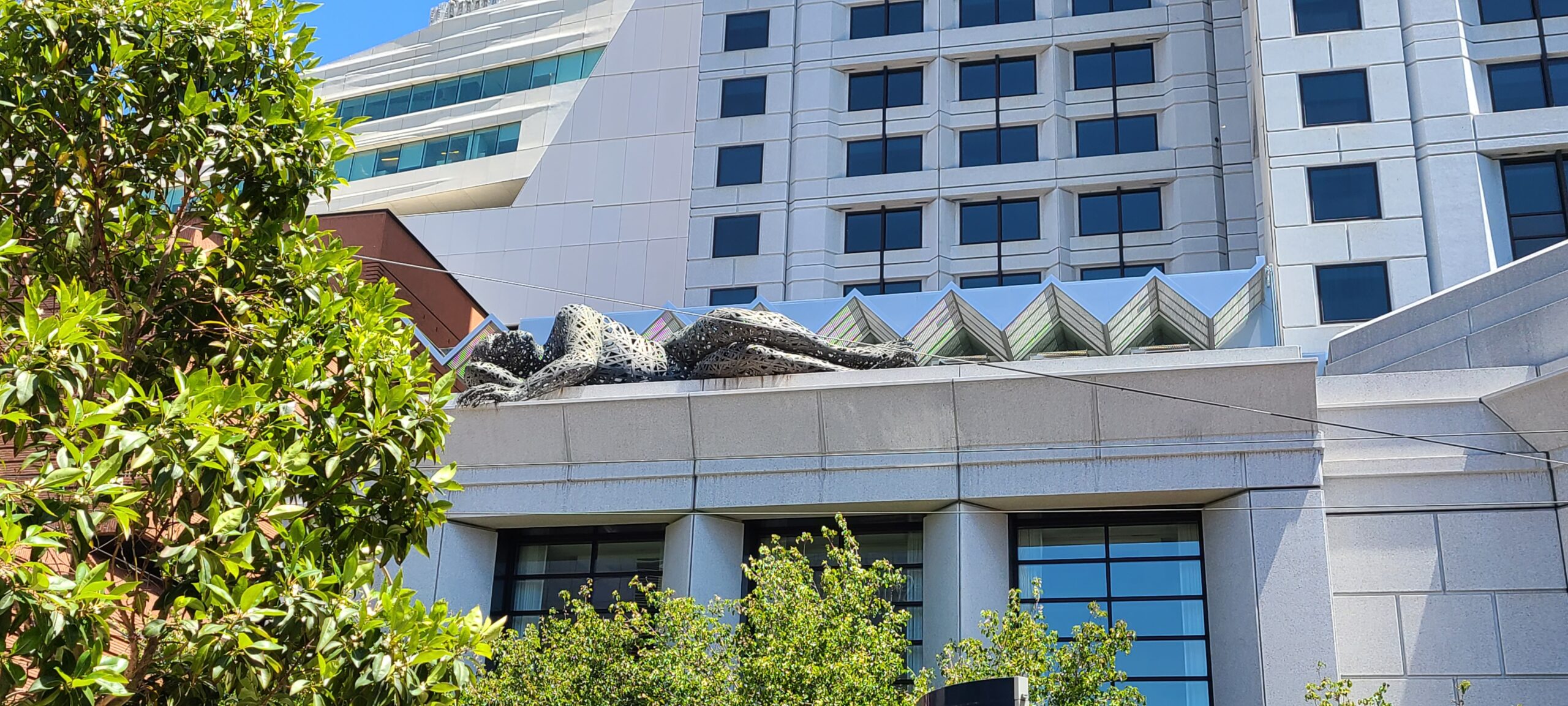 W San Francisco,Review,Marriott Bonvoy