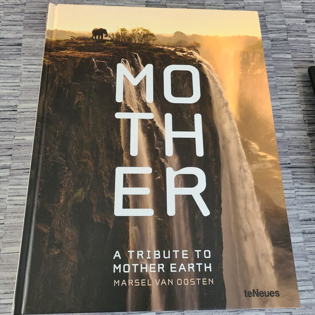 Review: TETRA Hotel, Autograph Collection 9 TETRA Hotel Mother Book