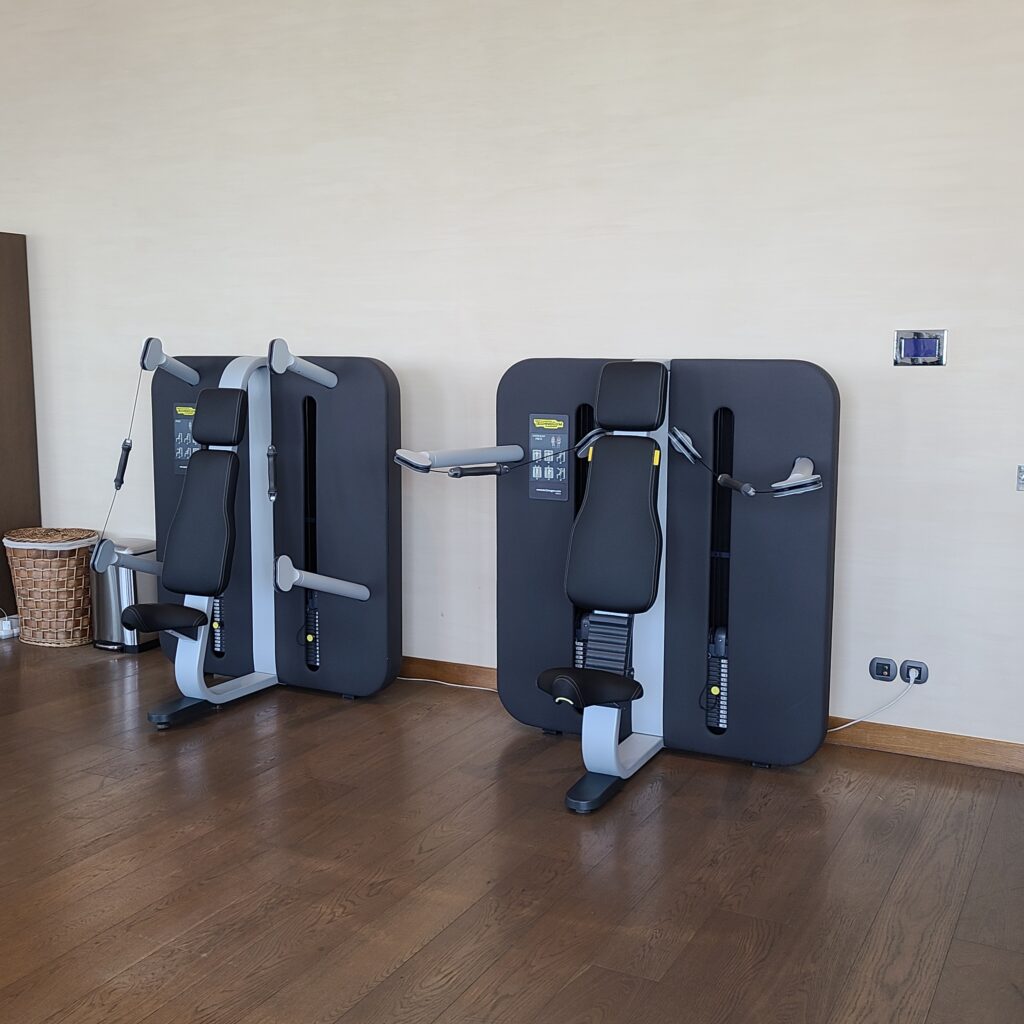 The Ritz-Carlton, Almaty Gym