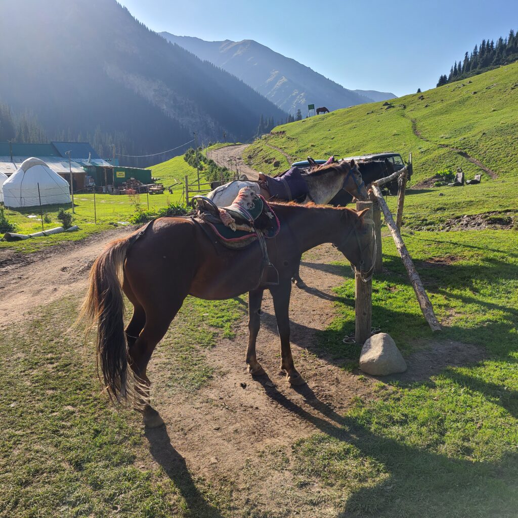 Trekking & Overnight Yurt Stay in Altyn Arashan 17 Altyn Arashan Horses