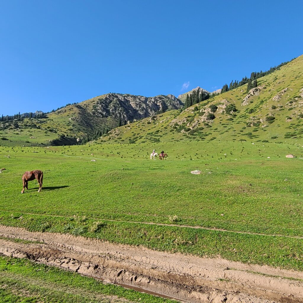 Trekking & Overnight Yurt Stay in Altyn Arashan 18 Altyn Arashan Camp Surroundings