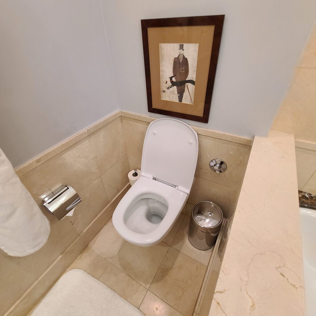 The Ritz-Carlton, Budapest Toilet
