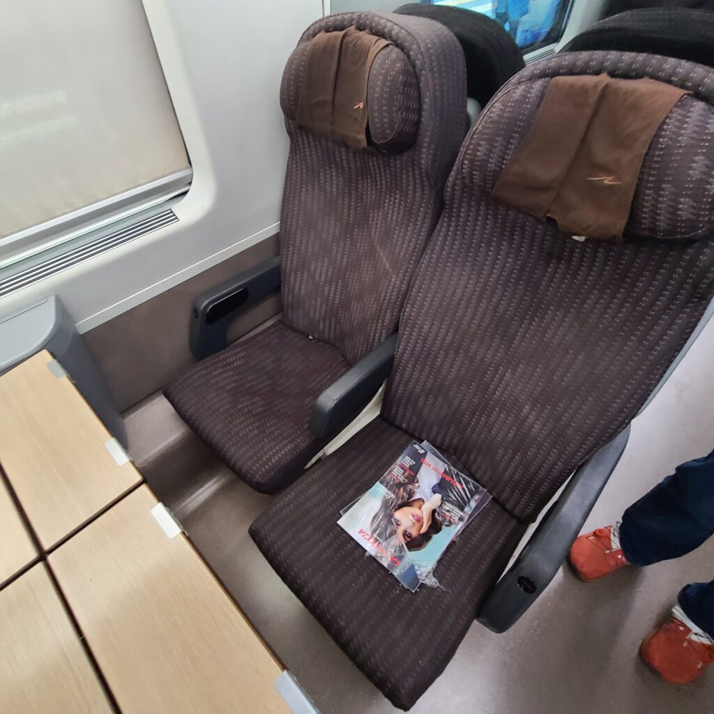 Frecciarossa Standard Class Seats