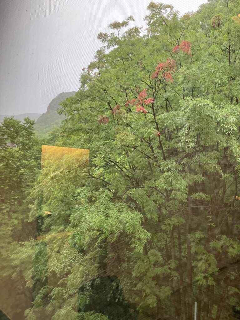 Dai-ichi Takimotokan Superior Room View