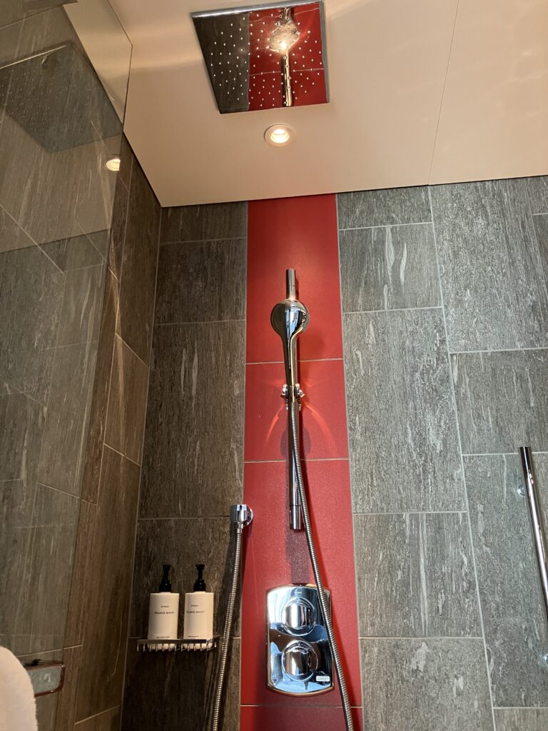 Conrad Osaka Shower