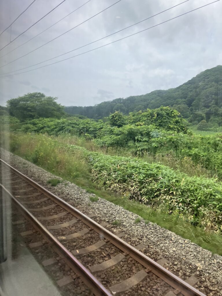 Review: Hokuto Limited Express Train (Noboribetsu-Hakodate) 10 Hokuto Limited Express Train Ride View
