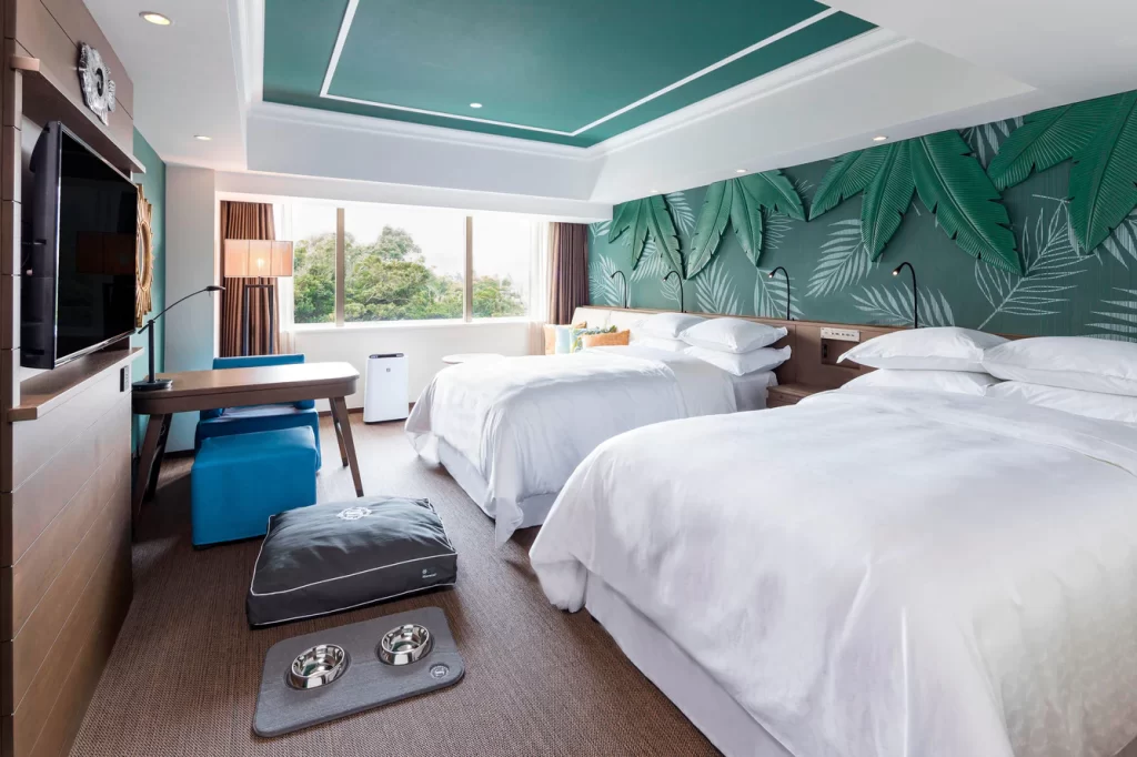 Sheraton Grande Tokyo Bay Dog-Friendly Room