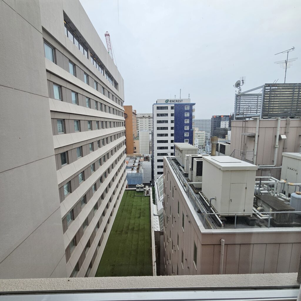 ANA Crowne Plaza Fukuoka Standard Room View