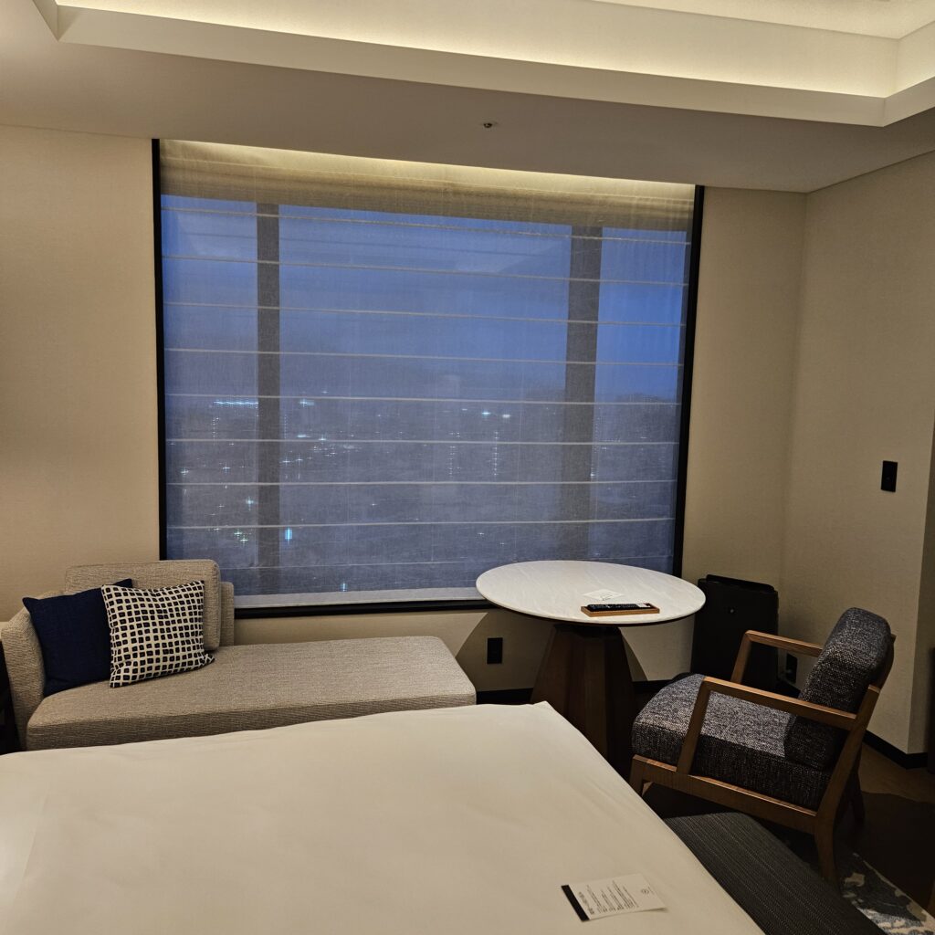 Sakurajima Suite Window