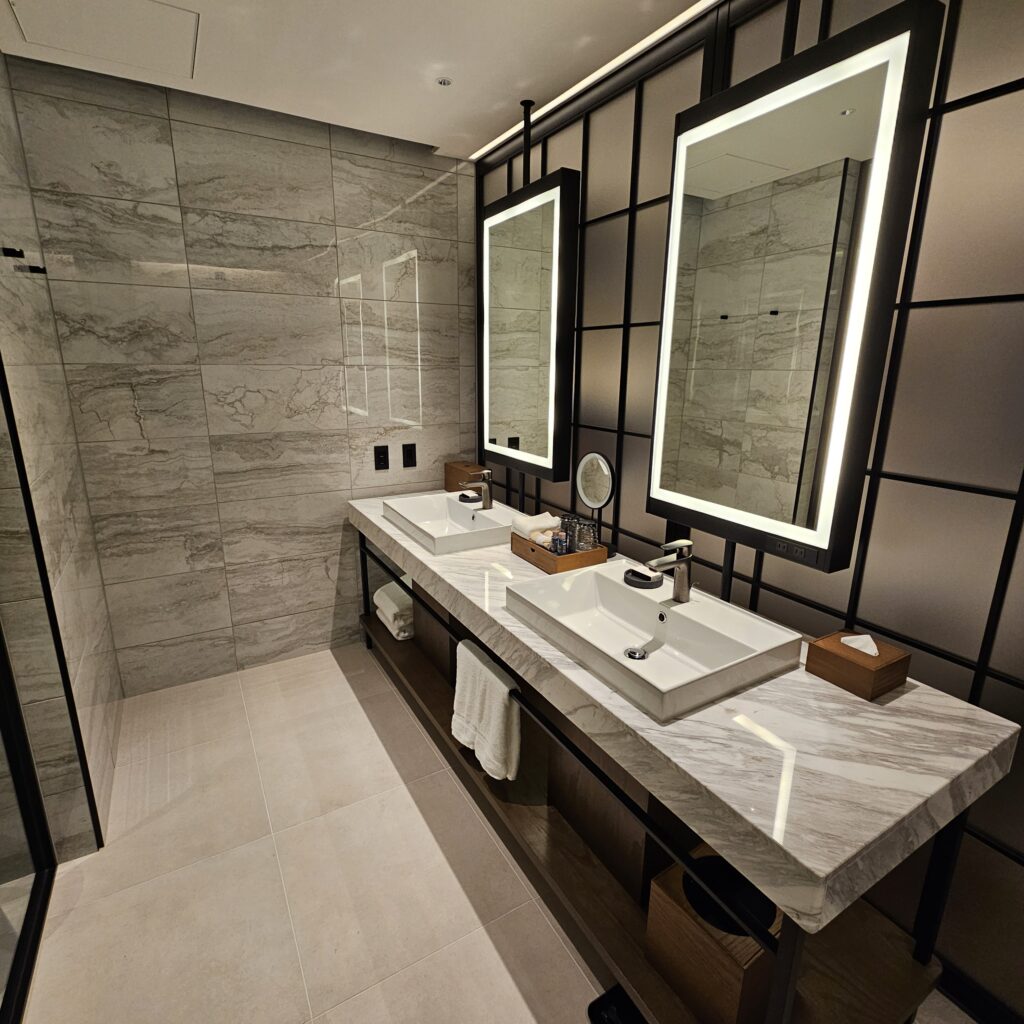 Sakurajima Suite Bathroom Sinks