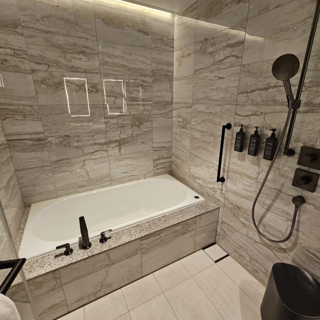 Sakurajima Suite Wet Room