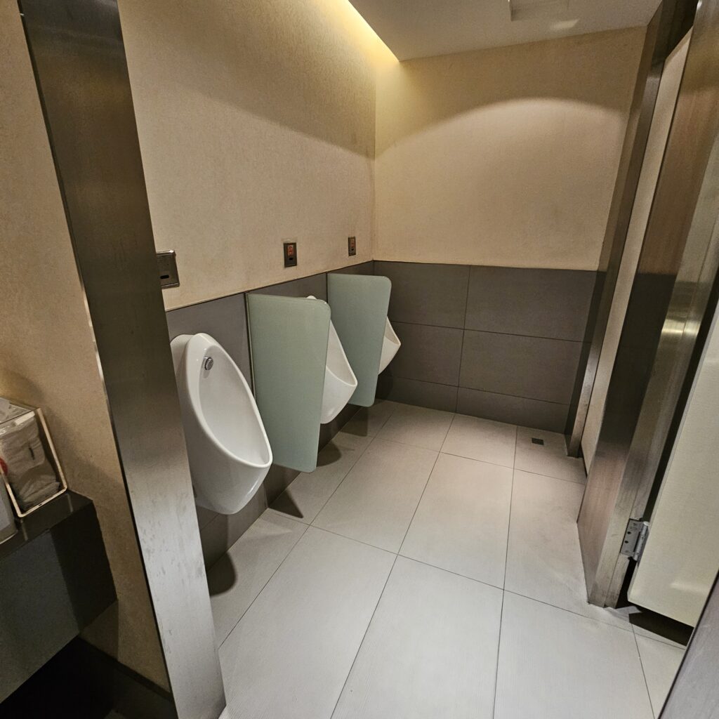 Review: Taipei Songshan Airport VIP Lounge (TSA) 6 Taipei Songshan VIP Lounge