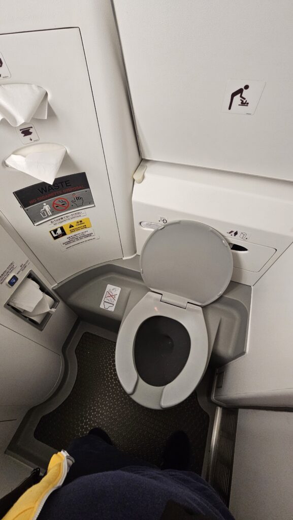 JAL E190 Lavatory