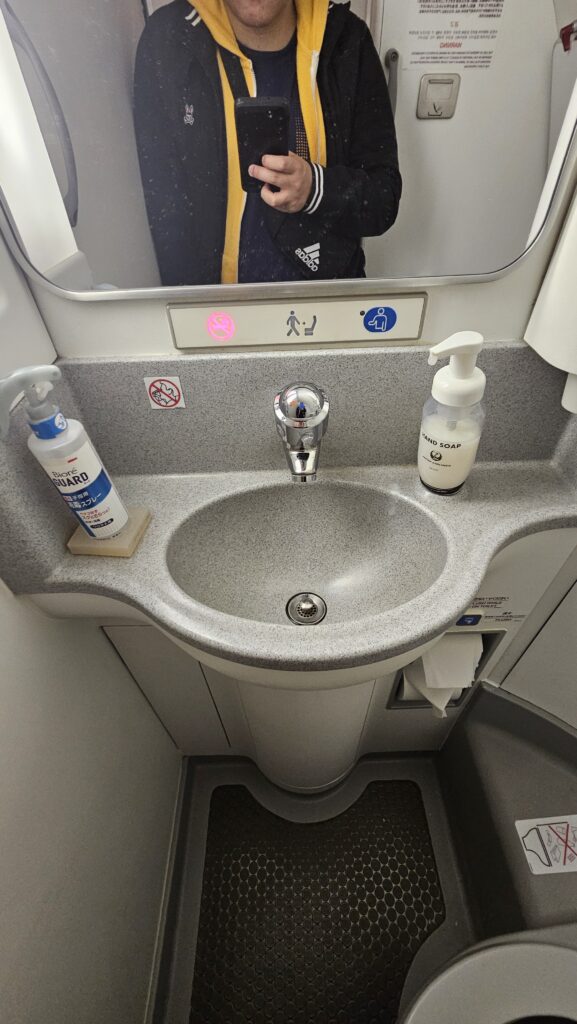 JAL E190 Lavatory